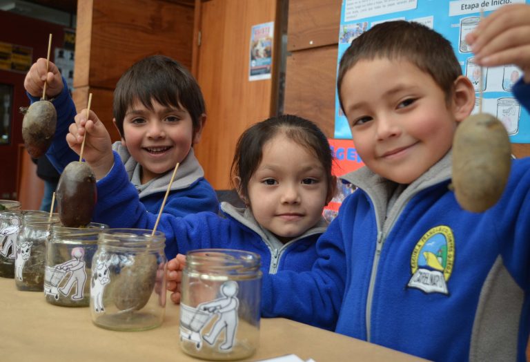 Talleres gratuitos para postular a “MEGA Científicos 2016”