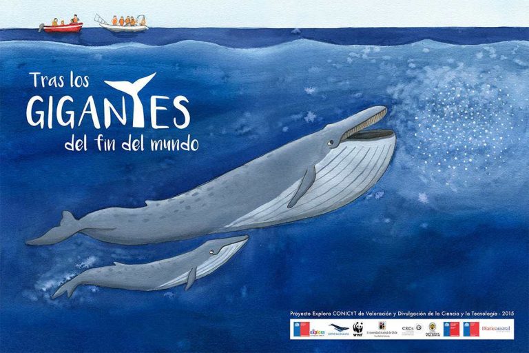 Libro infantil invita a conocer las grandes ballenas del sur de Chile
