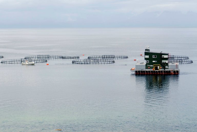 Nuevas tecnologías y desarrollo productivo en la Industria Salmonera