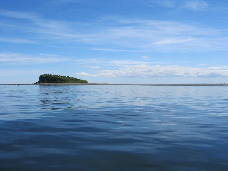 El patrimonio natural y cultural de Isla Lagartija