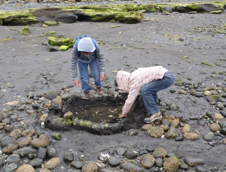 Rutas, charlas y muestras itinerantes son parte de la “Semana del Patrimonio” en Los Lagos