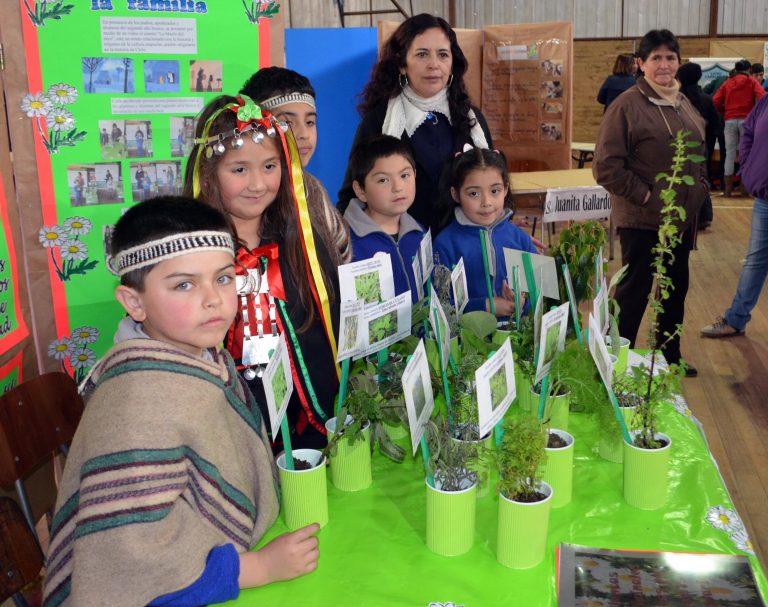 En Carelmapu se realizó primera Feria Comunal de Ciencia y Tecnología