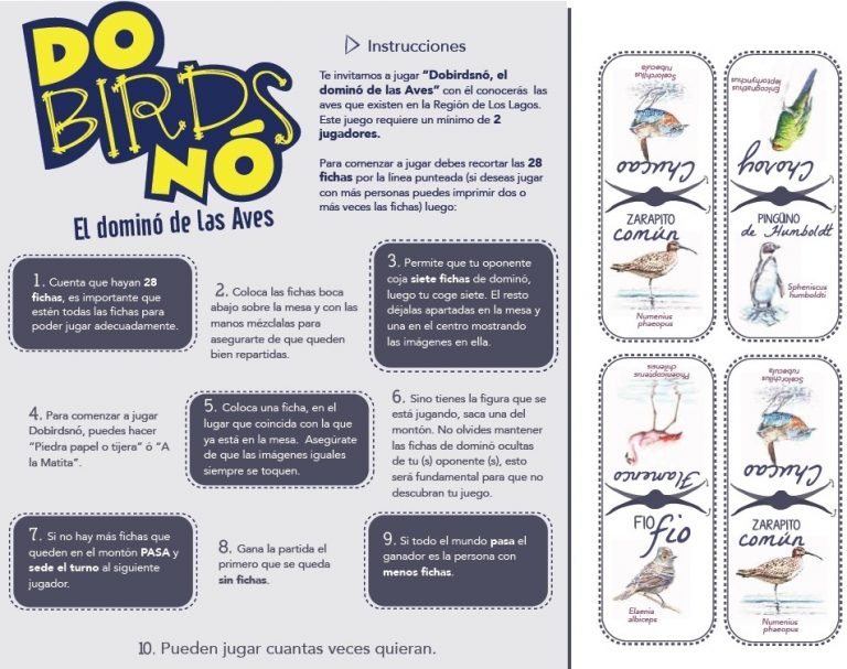 Juego de Dominó permite conocer las aves de la Región de Los Lagos