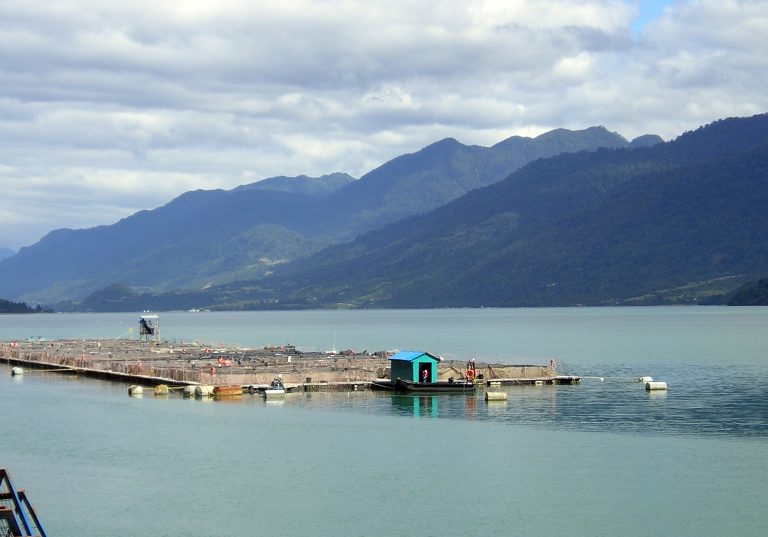 La industria salmonera bajo la visión de un experto logístico