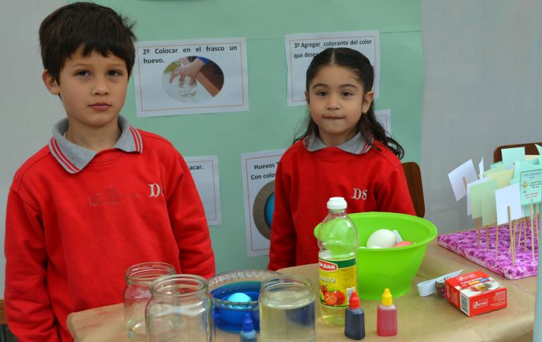 EXPLORA Los Lagos invita a participar del Primer Encuentro Regional de Ciencias MEGA Científicos