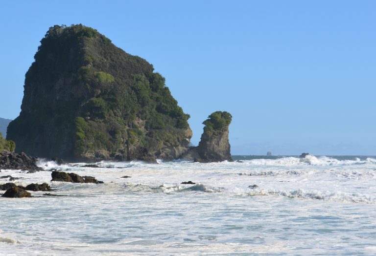 El impacto de la acidificación y el calentamiento de los océanos