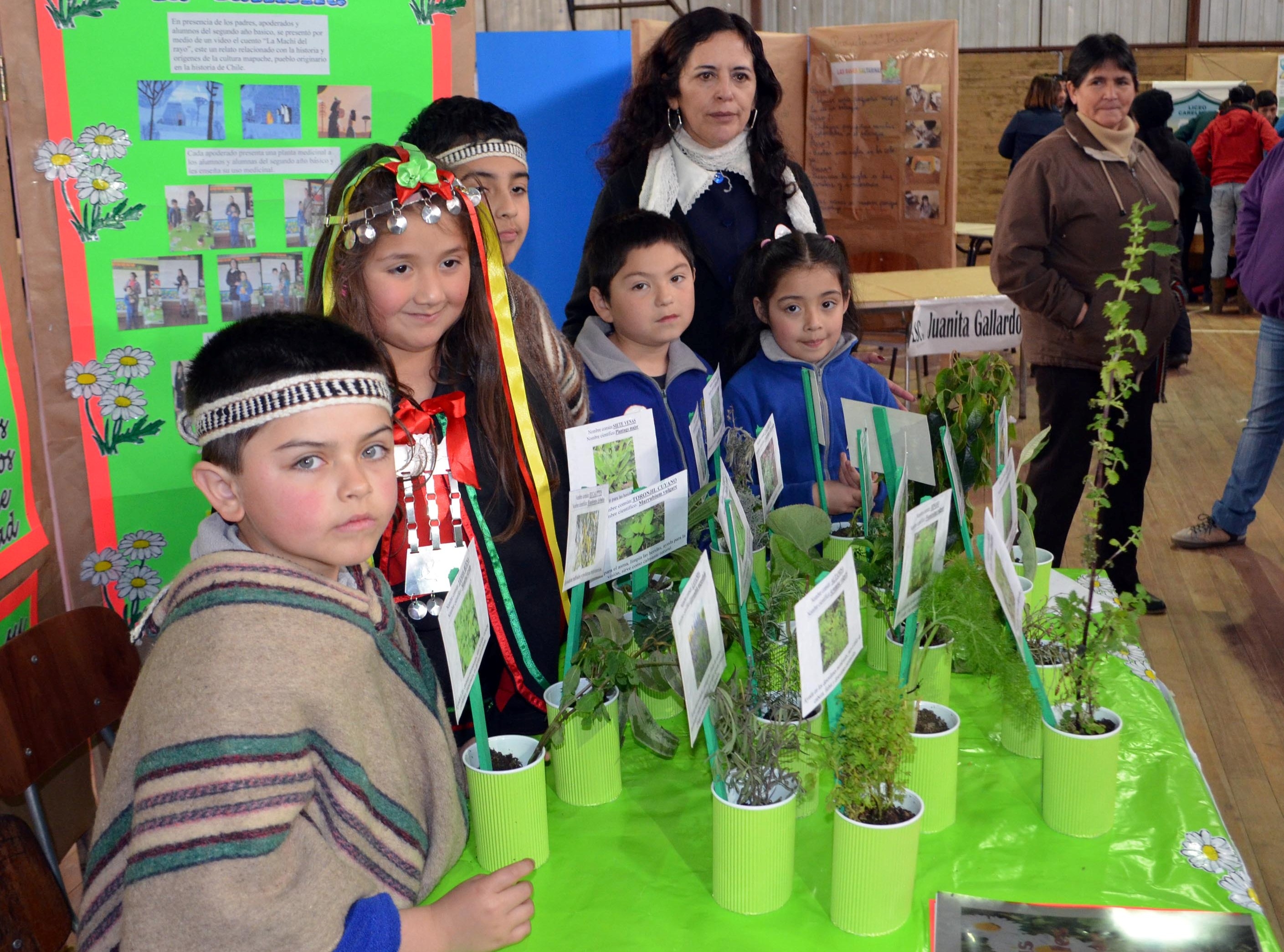 En Carelmapu se realizará II Feria Escolar de Ciencia y Tecnología