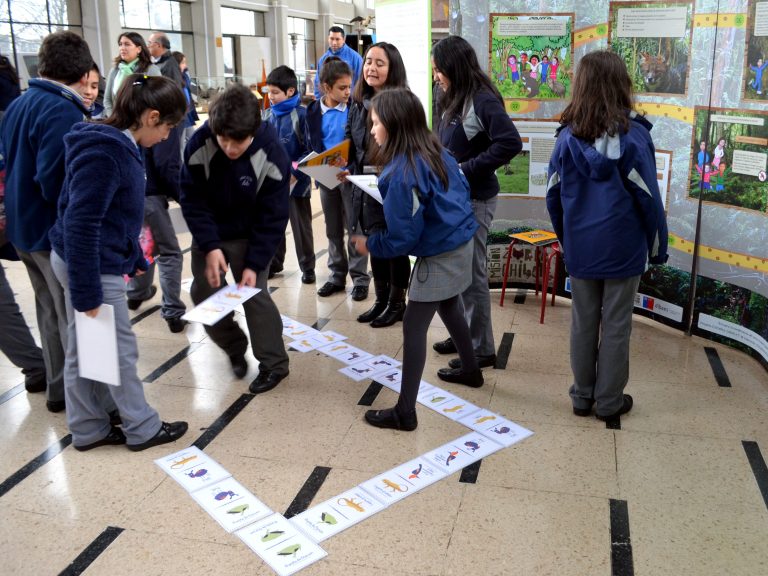 Exposición interactiva “Misión Zorro Chilote” se presentará en Puerto Montt