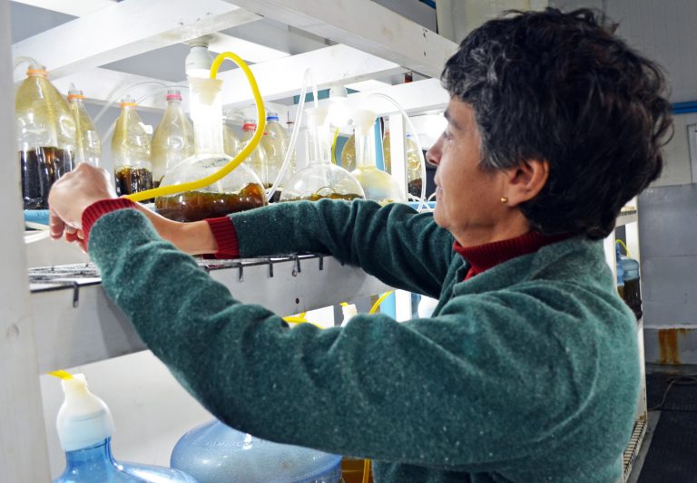 Fundación Chinquihue y el valor de la investigación para el desarrollo sustentable de la pesca artesanal