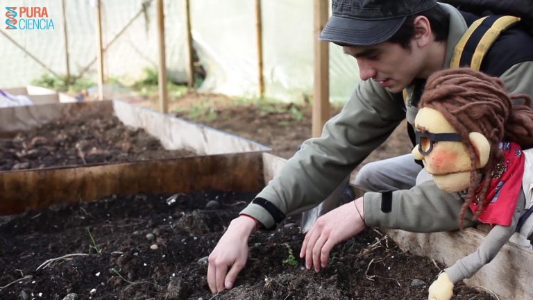 Sector agropecuario aborda el tercer capítulo de la nueva temporada de PURA CIENCIA