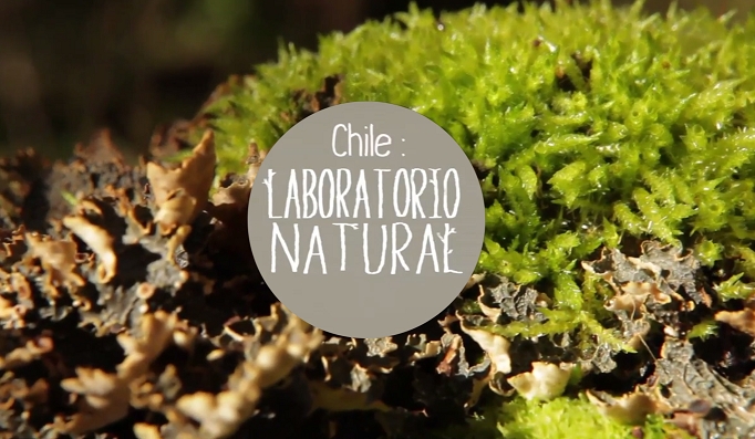 Serie “Chile: Laboratorio Natural” se emite por televisión abierta durante marzo