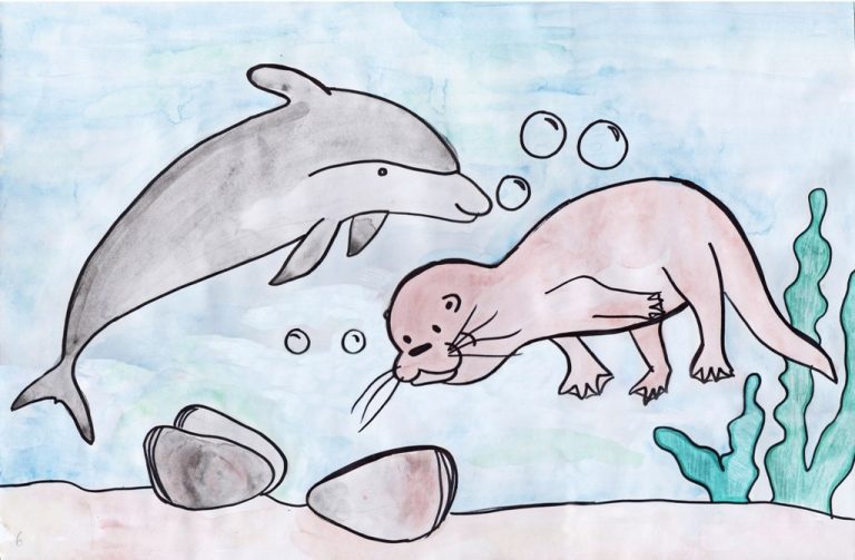 Niños de Chiloé conocerán las aventuras de "Huapi, el chungungo héroe"