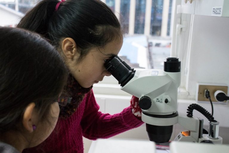 Haciendo ciencia escolar en Carelmapu