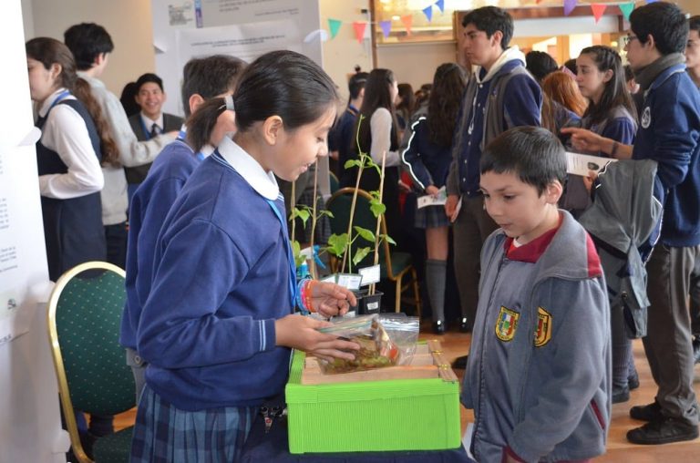 Explora Los Lagos invita a establecimientos educacionales a crear clubes de Ciencia