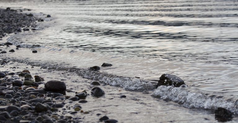 Mesa Científica nacional investiga fenómeno de Marea Roja