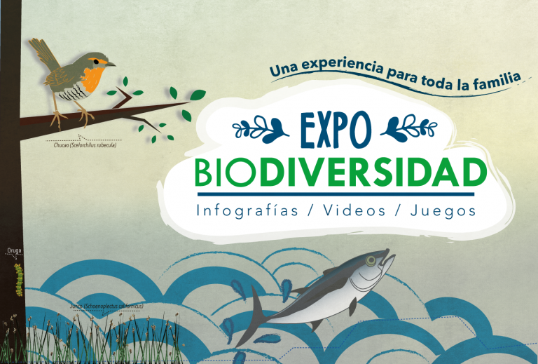 EXPLORA Los Lagos y MIO invitan a participar en “EXPO Biodiversidad”