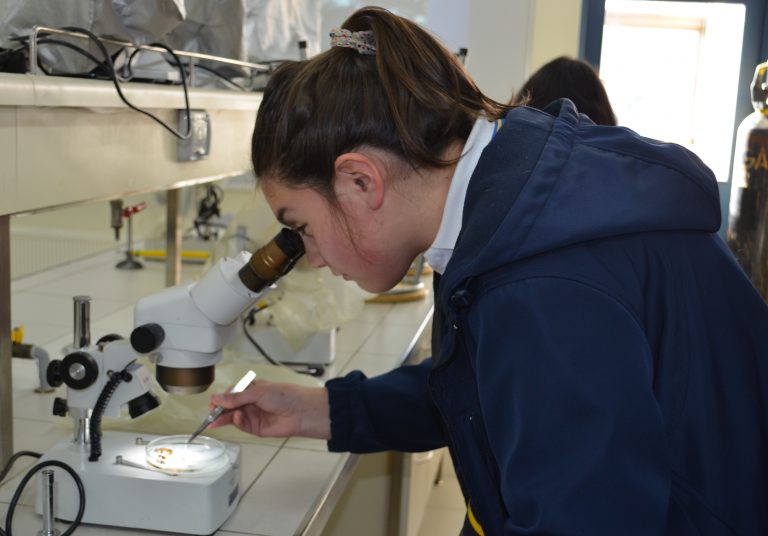 “After Science” de EXPLORA reunirá a comunidad científica regional en torno a la investigación escolar