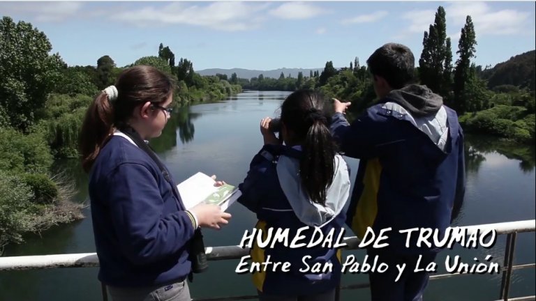 EXPLORA Los Lagos lanza tercera temporada de la web serie “Pura Ciencia”