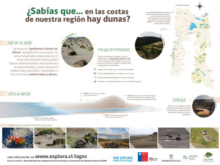 ¿Sabías que en las costas de nuestra Región hay Dunas?