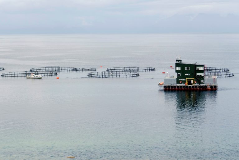 ¿Cómo mejorar las prácticas acuícolas?