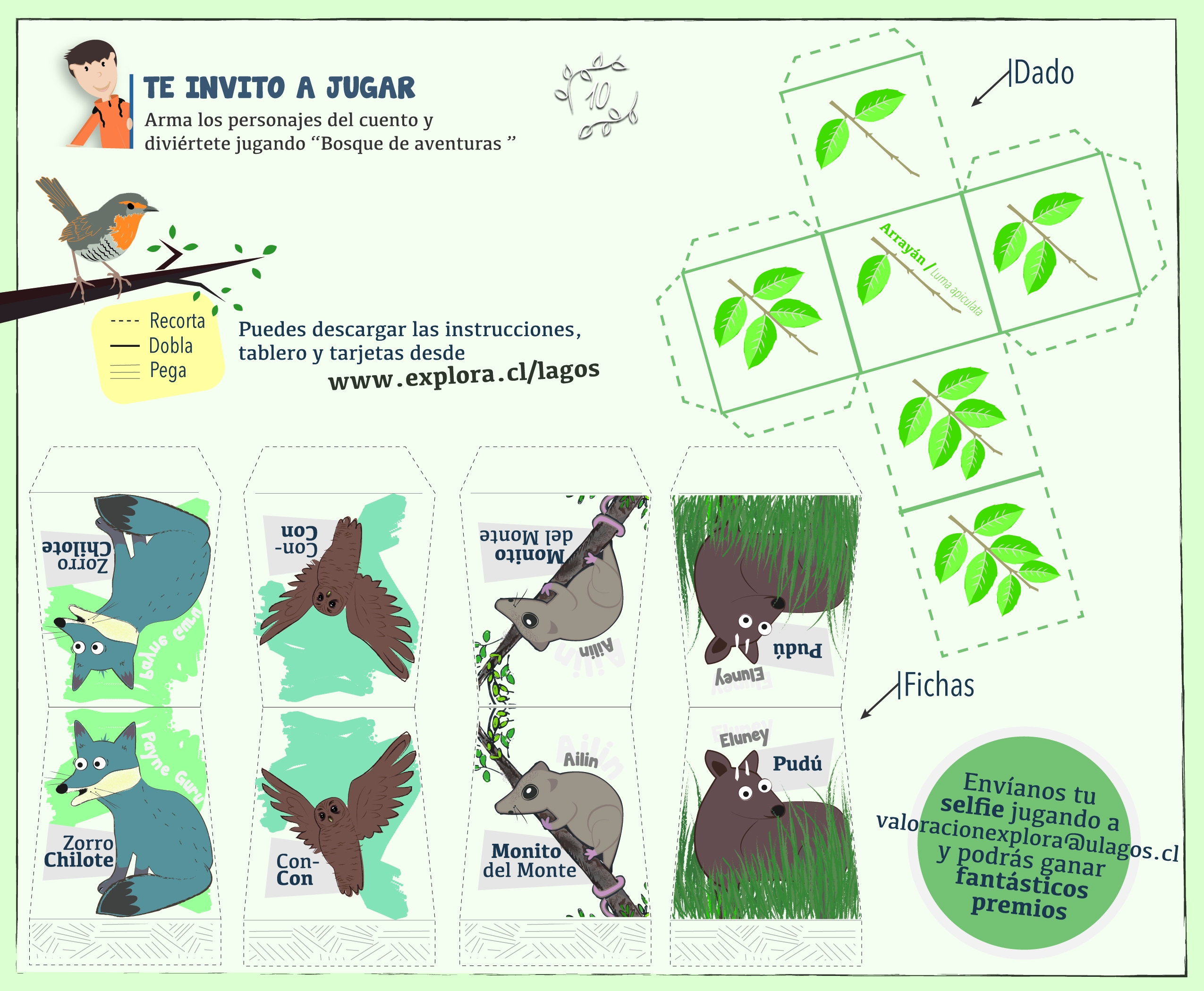 PAR EXPLORA Los Lagos lanza novedoso juego basado en las aventuras de un zorro chilote