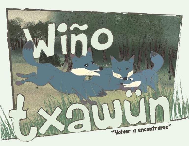 Zorro chilote protagoniza nuevo cuento científico del PAR EXPLORA Los Lagos