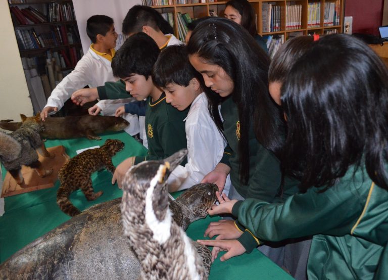 Alumnos de Frutillar conocieron el Patrimonio Natural de la Región de Los Lagos