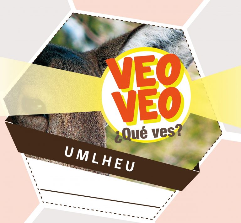 Fauna de la Región de Los Lagos protagoniza nuevo juego científico