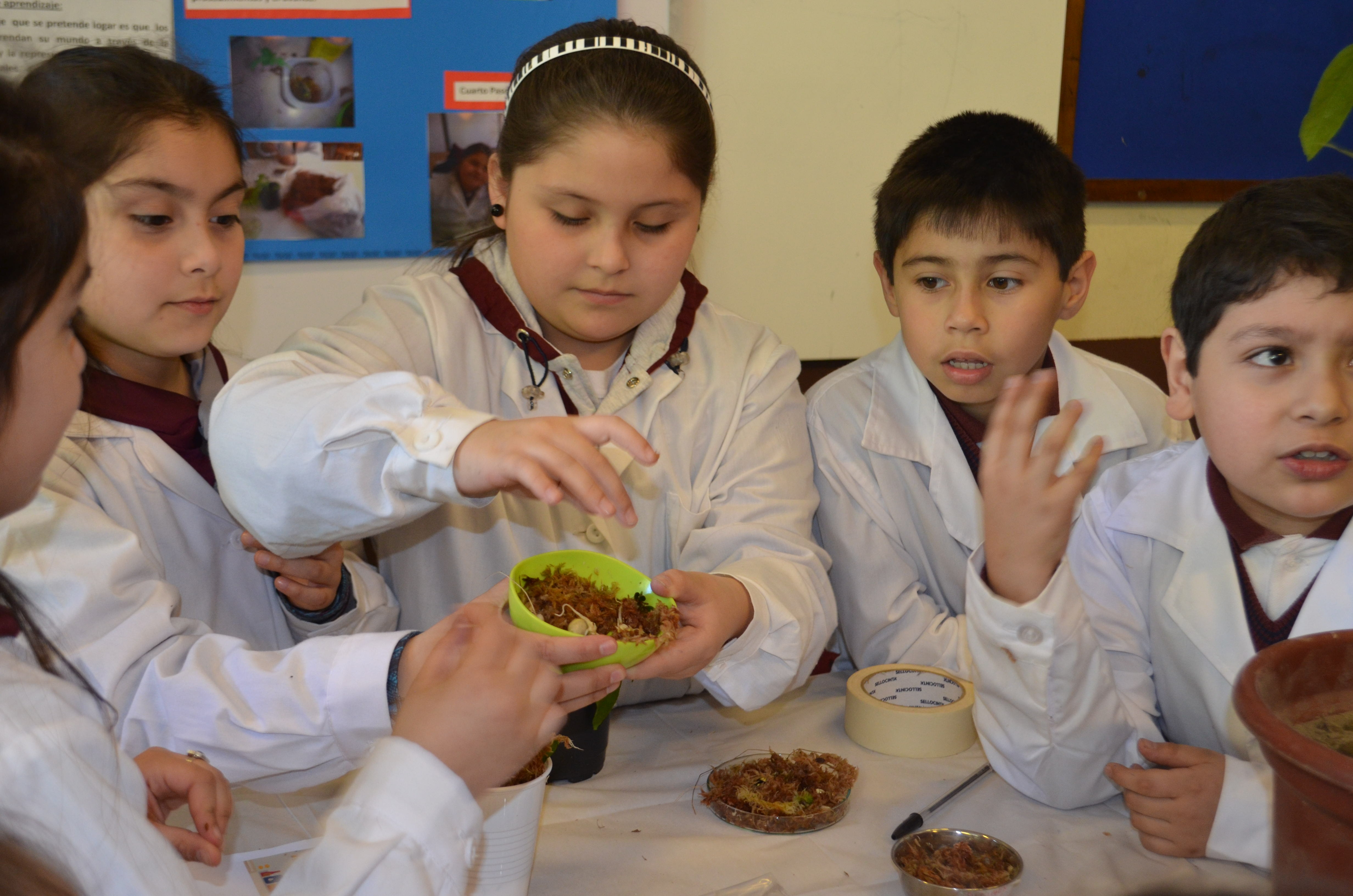 Conoce las actividades de la “XXI Semana Nacional de la Ciencia y Tecnología” en la Región de Los Lagos