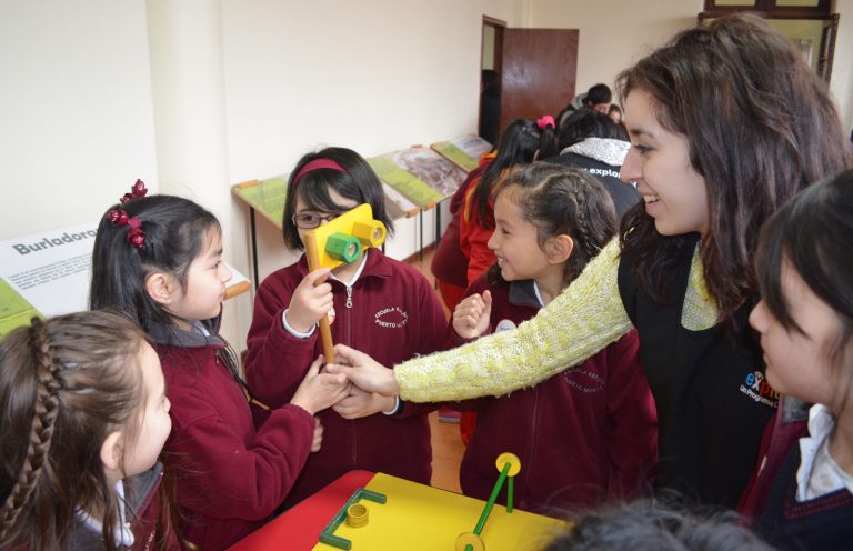 Ya está abierta “Hormigas: Comunicación y Sociedad” de EXPLORA Los Lagos