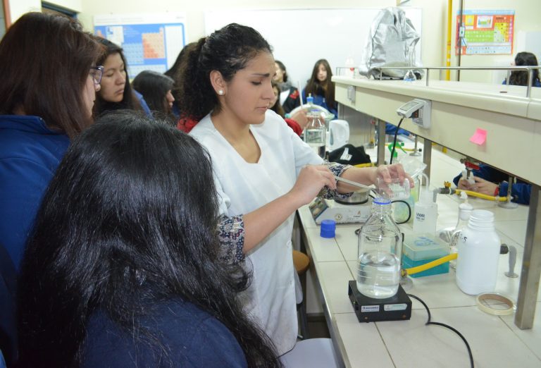 Alumnas de Puerto Montt visitaron Laboratorios de Ciencias de la ULagos