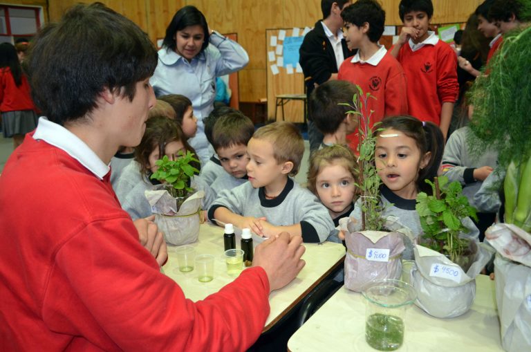 Un total de 43 proyectos participaron en II Feria Provincial de Ciencia y Tecnología realizada en Puerto Varas
