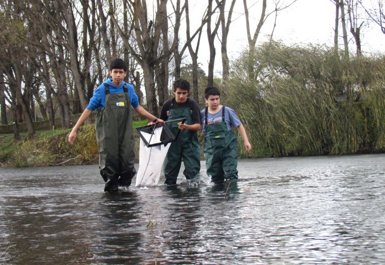 Ciencia escolar: Una experiencia que hay que vivir