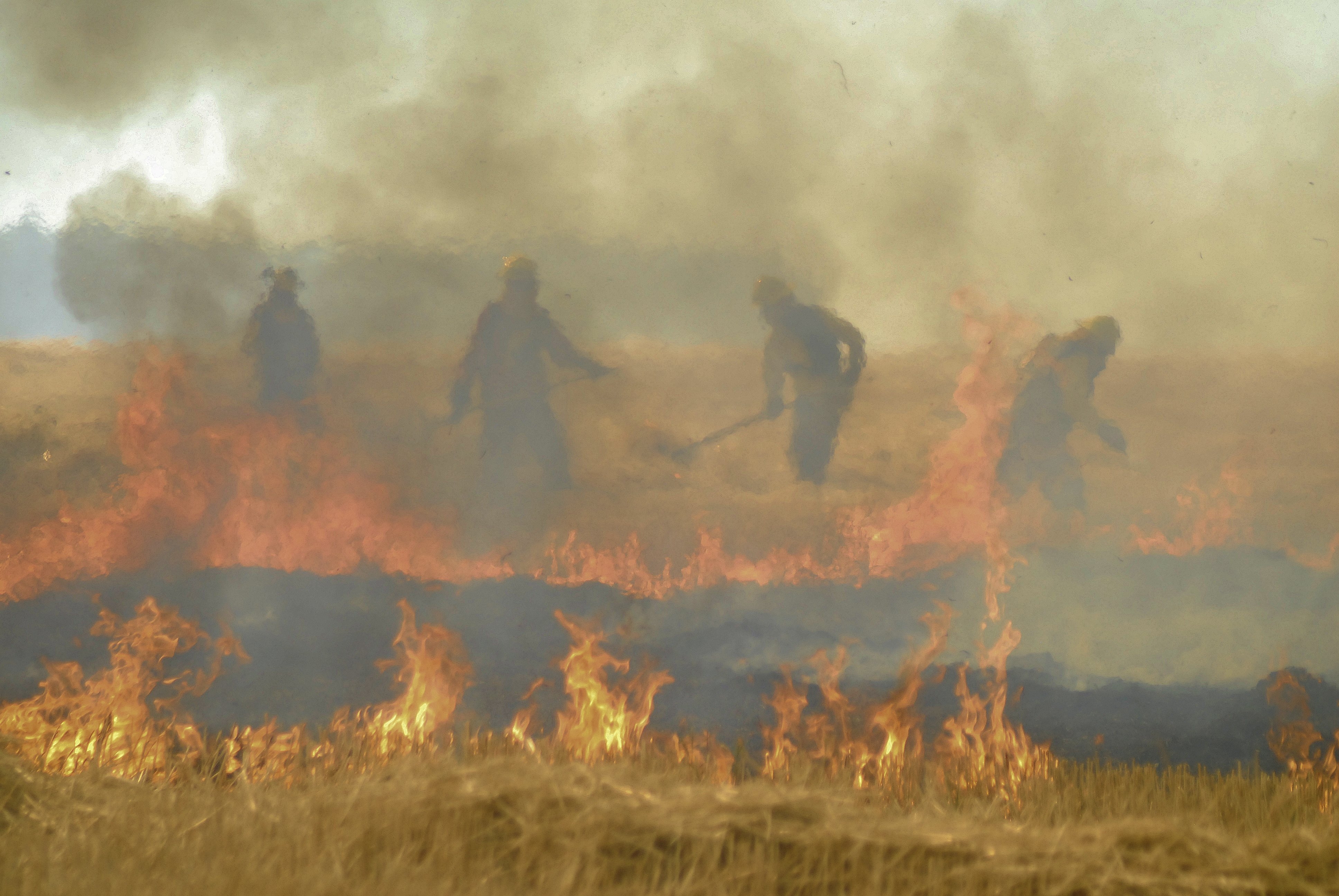 Incendios Forestales: Daño irreparable al entorno y  a nuestra calidad de vida