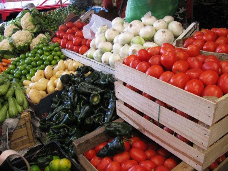Experto del INIA Remehue: “Cambio Climático impactará en tipos de cultivo en la Región de Los Lagos”