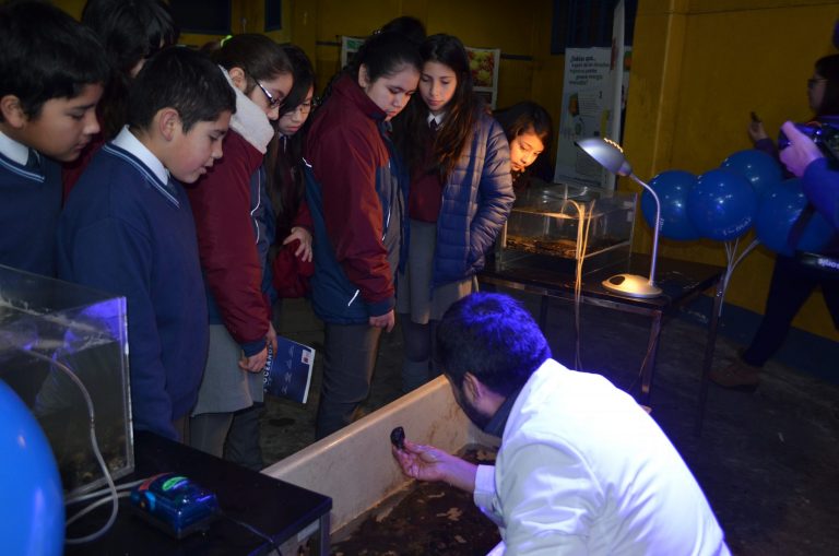 Más de 600 niños de la región participaron en Feria Marina