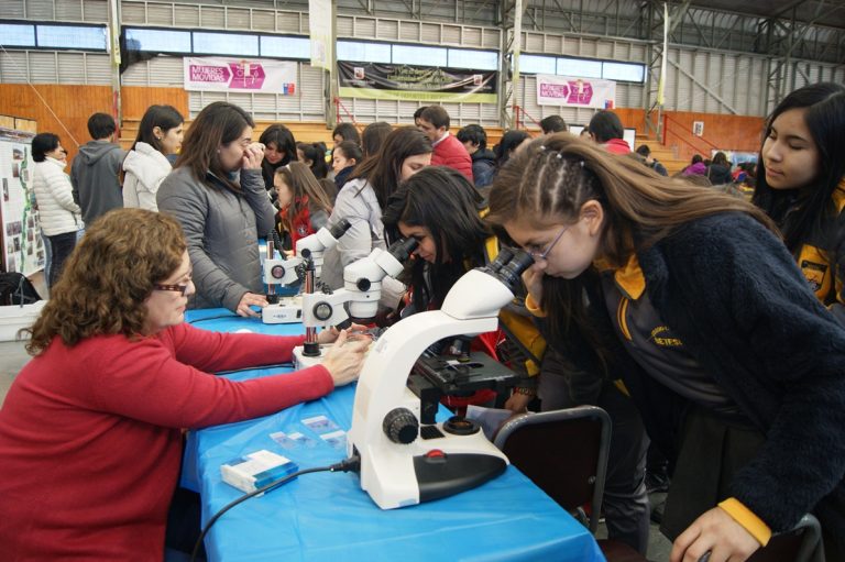 Cuarenta Clubes Explora Conicyt fueron adjudicados a colegios de la región