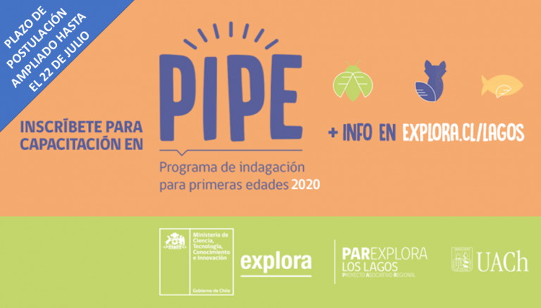 Se amplió plazo para postular al Programa de Indagación para Primeras Edades (PIPE) 2020