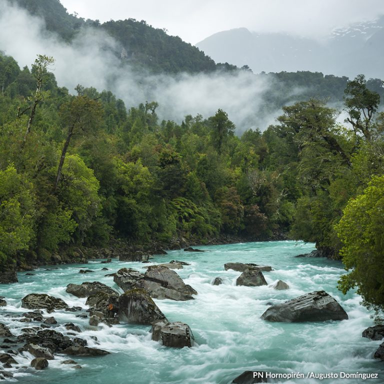 Primer Café Científico del 2021 abordará la importancia de valorizar y proteger el agua