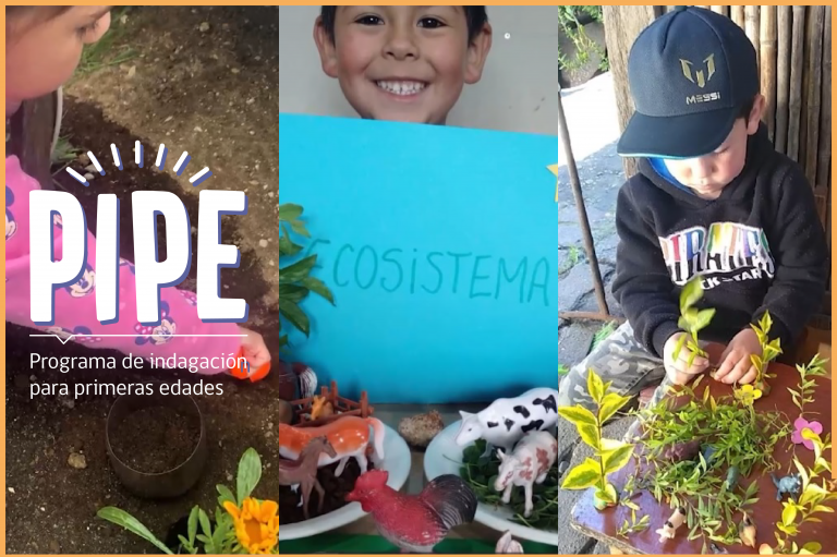 Postulaciones abiertas para capacitación científica en educación temprana en Los Lagos
