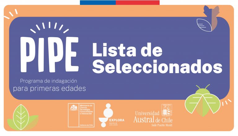 PIPE informa seleccionados para año 2023