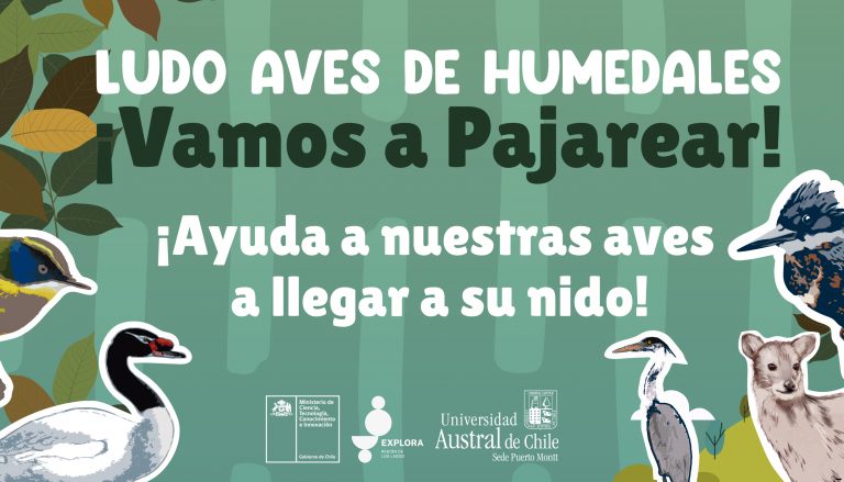 ¡Descarga nuestro Ludo Aves de Humedal!