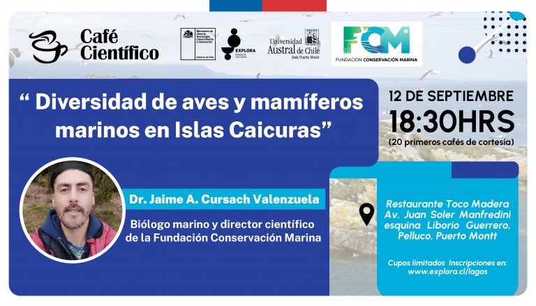 Diversidad de aves y mamíferos marinos en Islas Caicura en Café Científico de septiembre