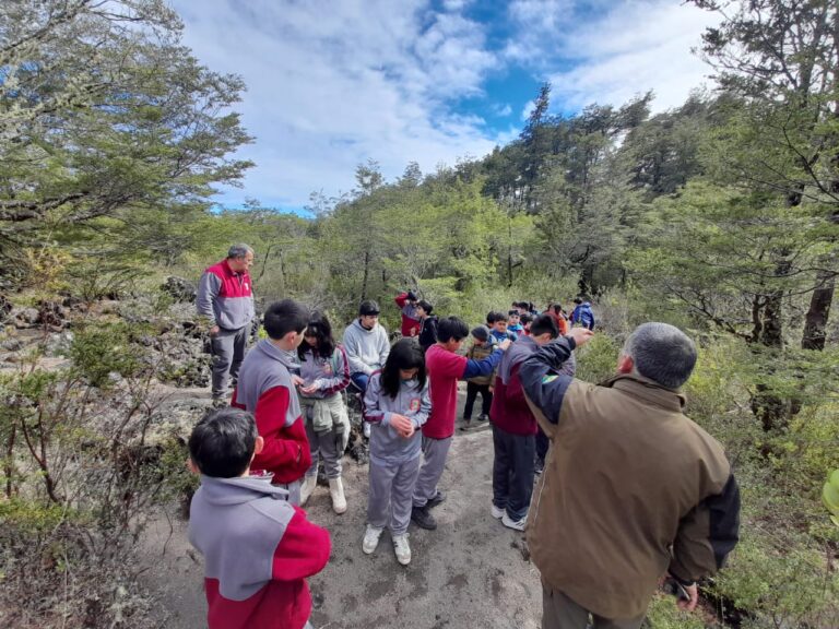 Establecimientos de 22 comunas de la región participarán en Programa de Educación al Aire Libre del PAR Explora Los Lagos