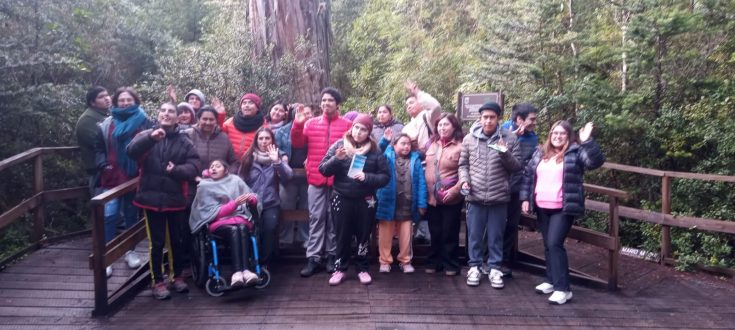 grupal bosque