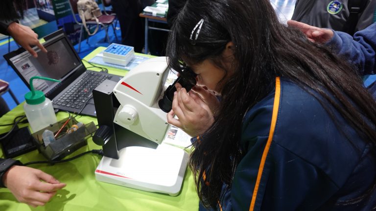 Séptima Feria del Mar UACh 2026 recibió casi un millar de estudiantes en Puerto Montt