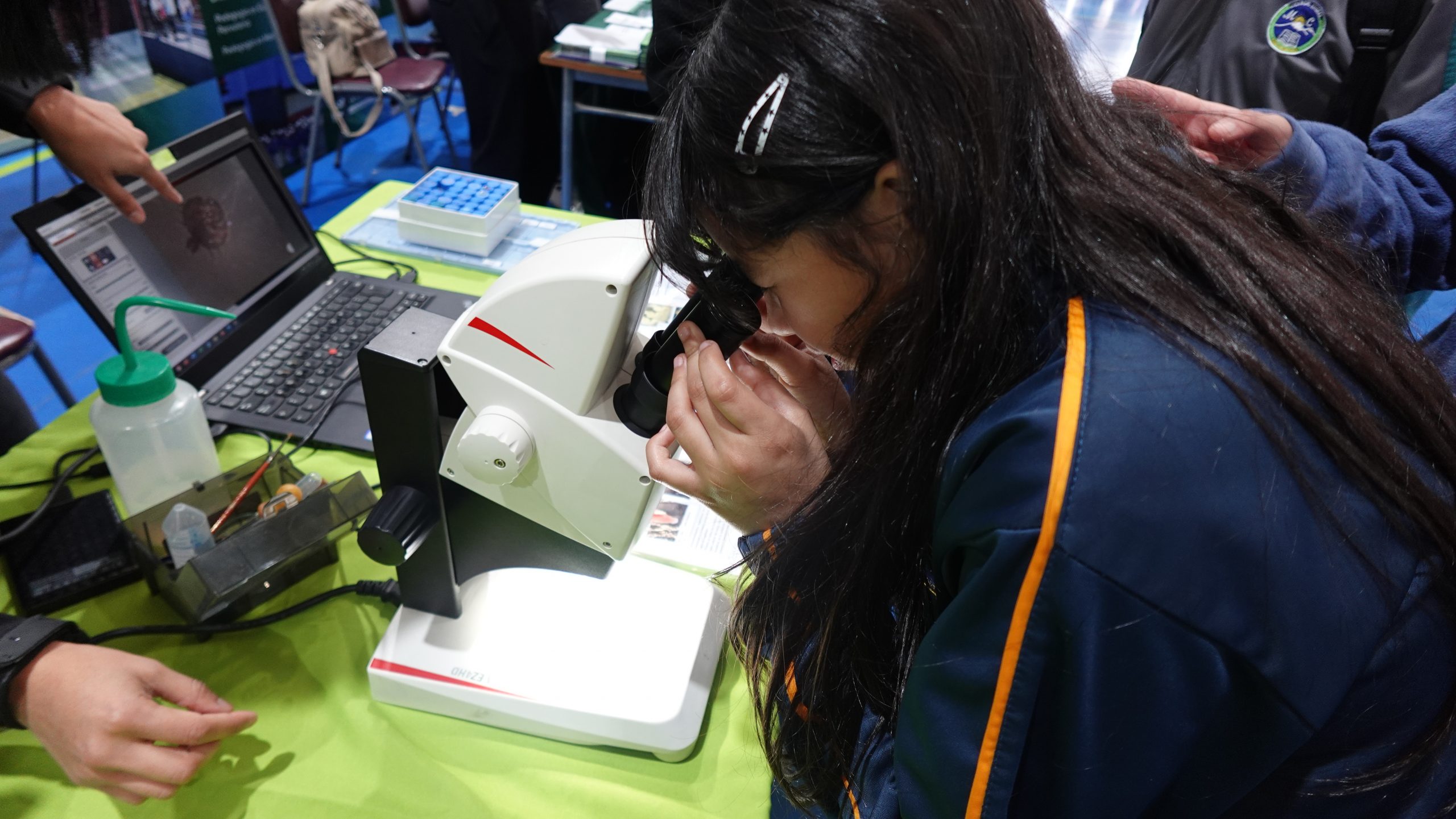 Séptima Feria del Mar UACh 2026 recibió casi un millar de estudiantes en Puerto Montt