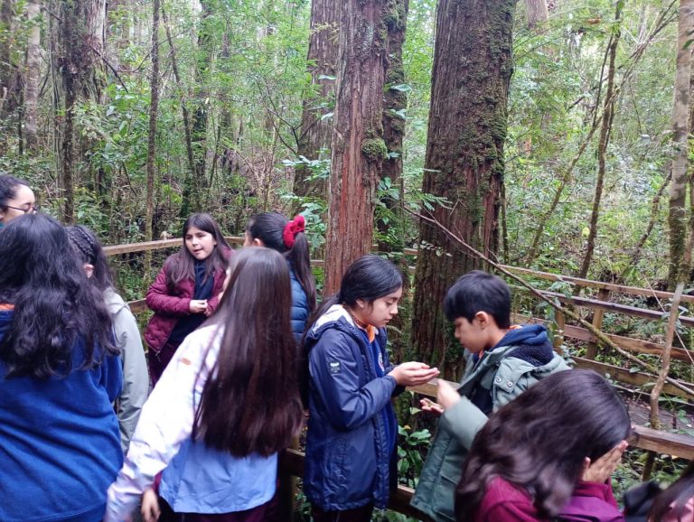 Comenzaron las salidas del Programa de Educación al Aire Libre (PEAL) al Monumento Natural Lahuen Ñadi en provincia de Llanquihue