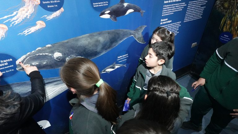 PAR Explora Los Lagos y la Universidad Austral de Chile Sede Puerto Montt inauguran sala inmersiva sobre biodiversidad costero-marina