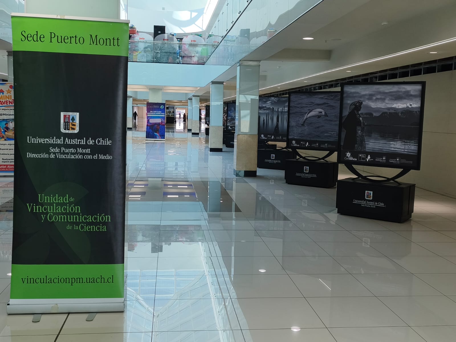 FotoConciencia 2026: exposición fotográfica invita a descubrir el patrimonio natural y cultural de Los Lagos